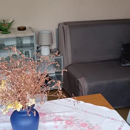 Sheshe 말리로시니