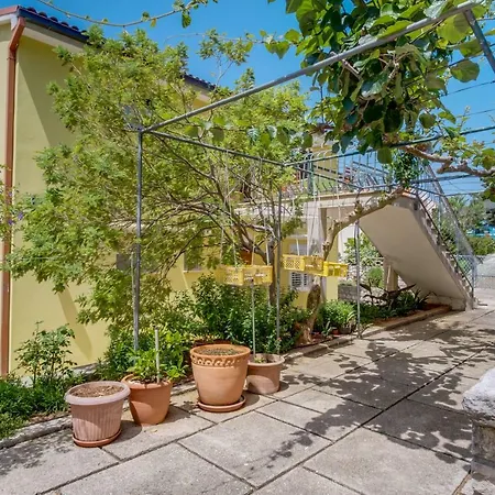 Sheshe * 말리로시니