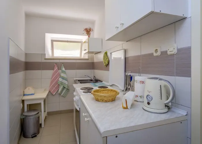 Sheshe Apartamento *